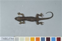 藏品(龜山壁虎)的圖片